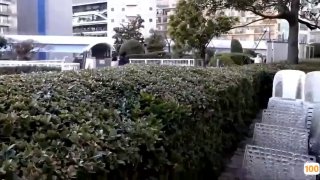 主持人杨帆自己的老婆